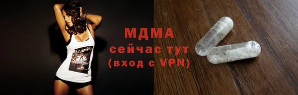 spice Богородск