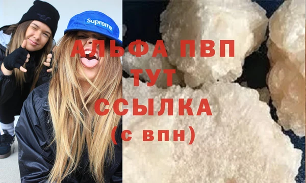 spice Богородск
