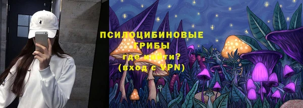 spice Богородск