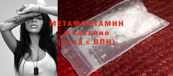 spice Богородск