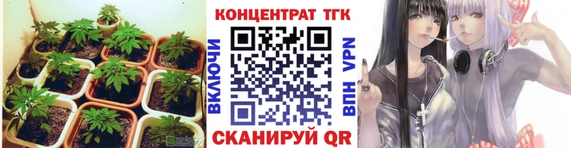 хочу наркоту  Богданович  Дистиллят ТГК жижа 