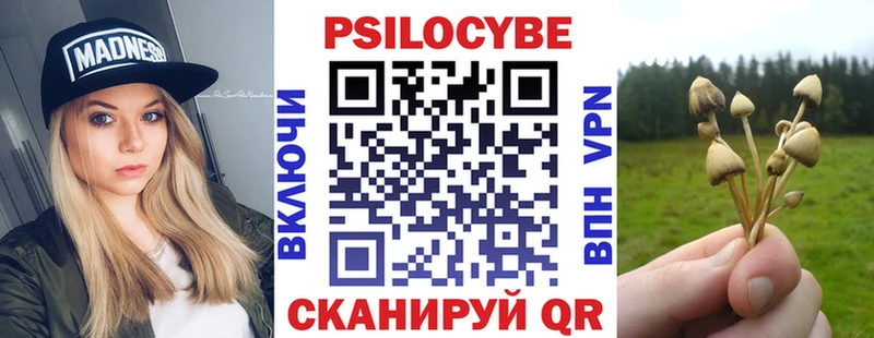 Галлюциногенные грибы Psilocybe  где продают наркотики  Богданович 