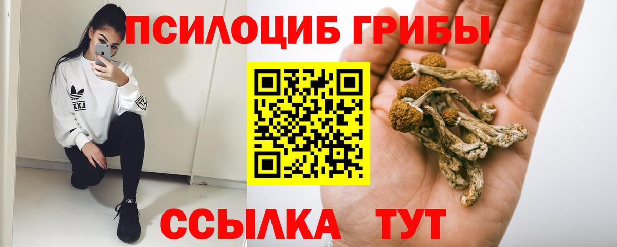 Богданович  Псилоцибиновые грибы прущие грибы  Вход с VPN 